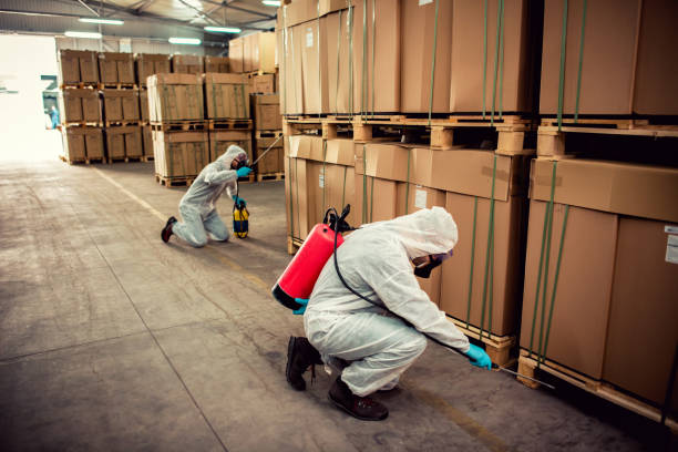 Best Best Pest Control Companies  in Corning, NY