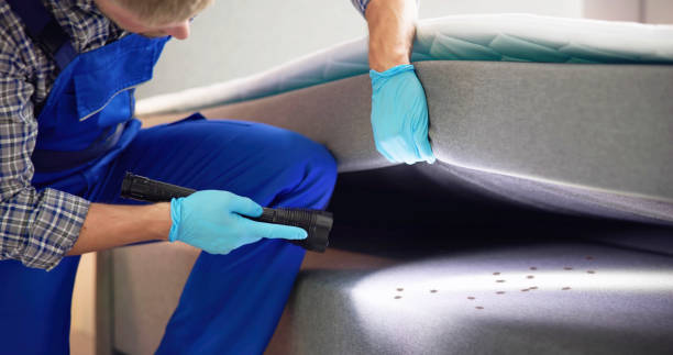 Best Emergency Pest Control  in Corning, NY